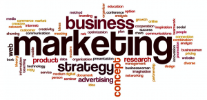 Business Marketing Strategy - Carmik Design